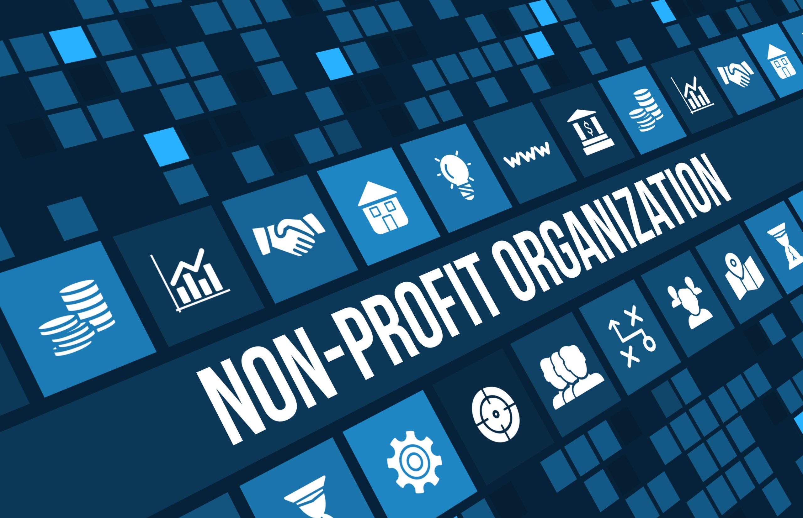 Marketing Strategies for Non-Profit Organizations